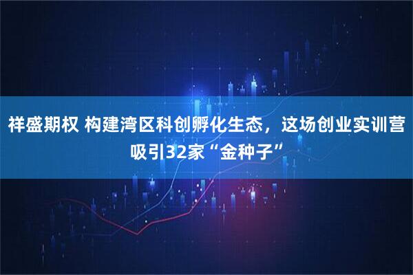 祥盛期权 构建湾区科创孵化生态，这场创业实训营吸引32家“金种子”